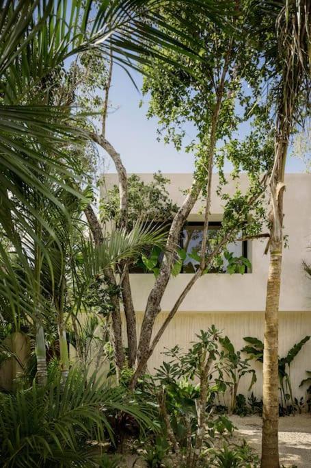 Casa Areca, Awarded Architectural Villa Located In A Secured Gated Community, With Concierge Services Tulum Zewnętrze zdjęcie